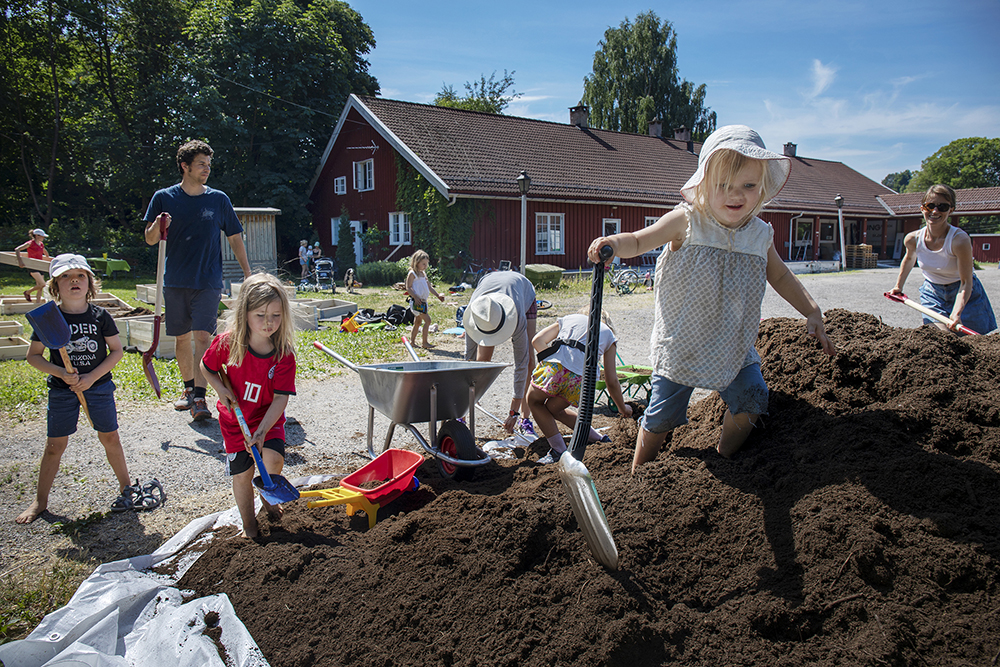 Aktiviteter på Bekkelagstunet